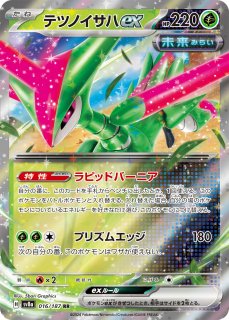 草タイプ】 - カードショップはんじょう