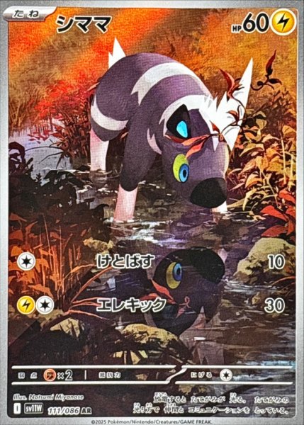 画像1: シママ 【雷】【AR】【111/086】【SV11W】 (1)
